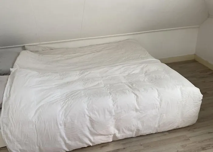 Apartamento Mooi In Kralingen *