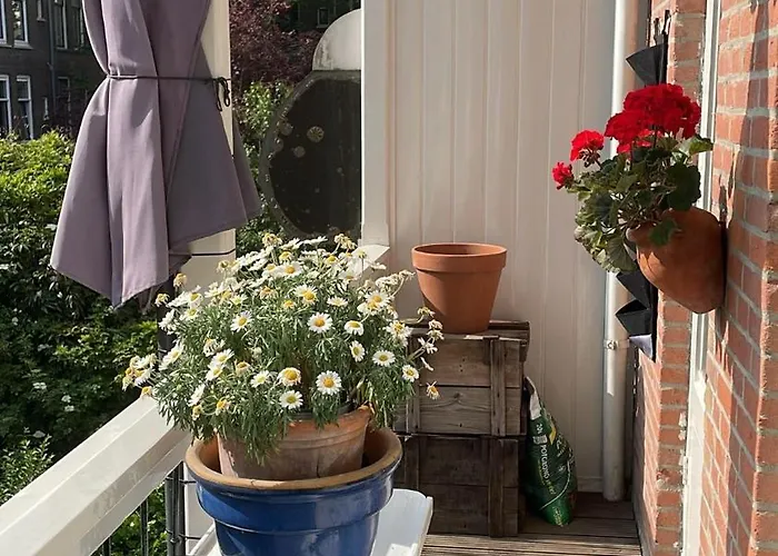 Mooi In Kralingen * Роттердам