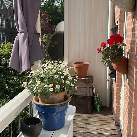 Mooi In Kralingen * Rotterdam