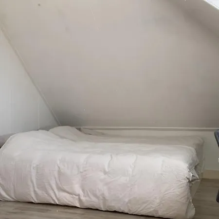 Mooi In Kralingen
